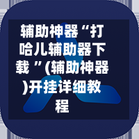 辅助神器“打哈儿辅助器下载 ”(辅助神器)开挂详细教程