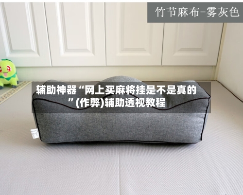 辅助神器“网上买麻将挂是不是真的”(作弊)辅助透视教程-第3张图片