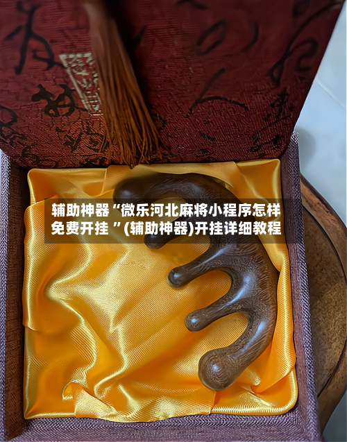 辅助神器“微乐河北麻将小程序怎样免费开挂 ”(辅助神器)开挂详细教程-第2张图片