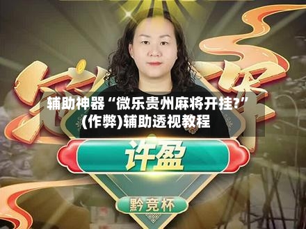 辅助神器“微乐贵州麻将开挂?”(作弊)辅助透视教程-第2张图片