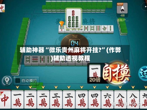 辅助神器“微乐贵州麻将开挂?	”(作弊)辅助透视教程-第3张图片
