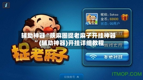 辅助神器“陕麻圈捉老麻子开挂神器 ”(辅助神器)开挂详细教程-第2张图片