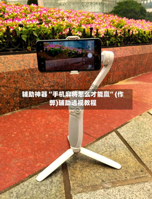 辅助神器“手机麻将怎么才能赢”(作弊)辅助透视教程-第2张图片
