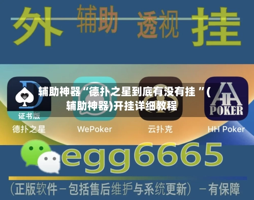 辅助神器“德扑之星到底有没有挂 ”(辅助神器)开挂详细教程-第2张图片