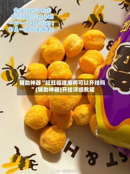辅助神器“旺旺福建麻将可以开挂吗 ”(辅助神器)开挂详细教程-第3张图片