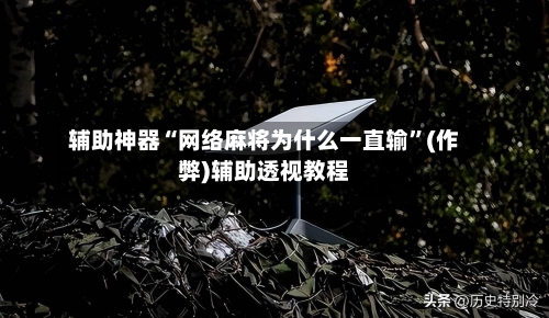 辅助神器“网络麻将为什么一直输”(作弊)辅助透视教程-第3张图片