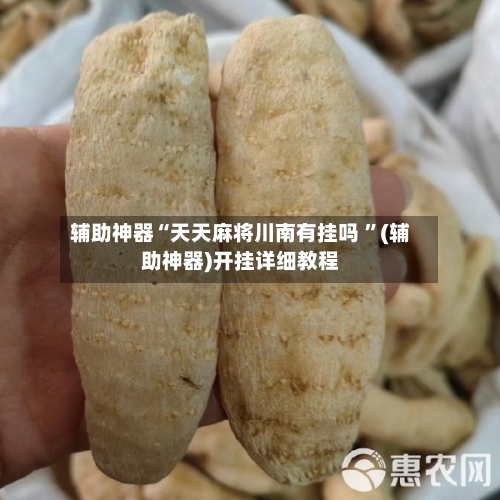 辅助神器“天天麻将川南有挂吗 ”(辅助神器)开挂详细教程-第3张图片