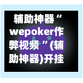 辅助神器“wepoker作弊视频 ”(辅助神器)开挂详细教程-第3张图片