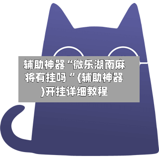 辅助神器“微乐湖南麻将有挂吗 ”(辅助神器)开挂详细教程-第2张图片