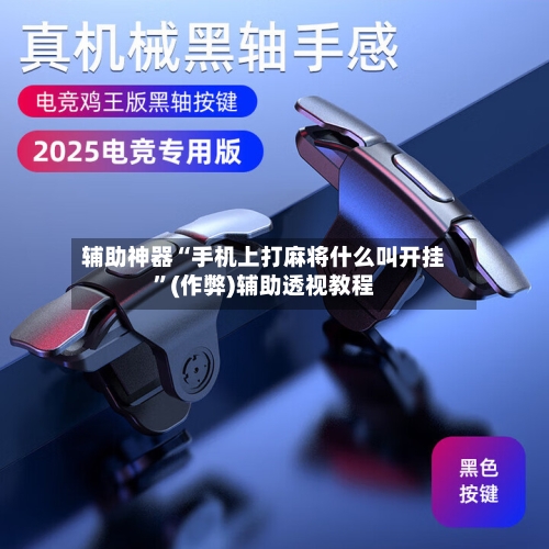 辅助神器“手机上打麻将什么叫开挂”(作弊)辅助透视教程-第3张图片