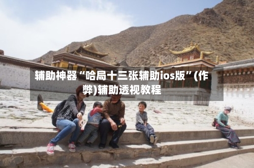 辅助神器“哈局十三张辅助ios版”(作弊)辅助透视教程-第2张图片