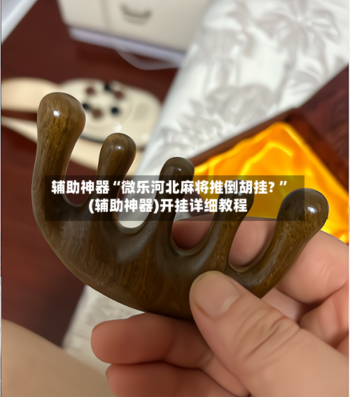 辅助神器“微乐河北麻将推倒胡挂? ”(辅助神器)开挂详细教程-第2张图片