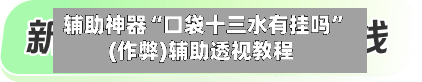 辅助神器“口袋十三水有挂吗”(作弊)辅助透视教程