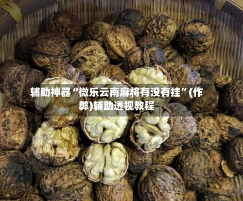 辅助神器“微乐云南麻将有没有挂”(作弊)辅助透视教程