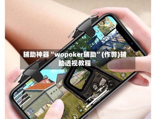 辅助神器“wopoker辅助”(作弊)辅助透视教程-第3张图片