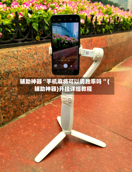 辅助神器“手机麻将可以调胜率吗 ”(辅助神器)开挂详细教程