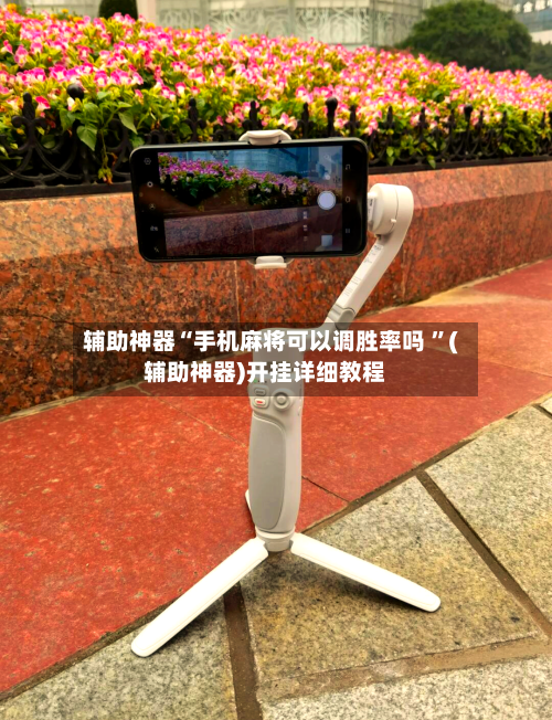 辅助神器“手机麻将可以调胜率吗 ”(辅助神器)开挂详细教程-第2张图片