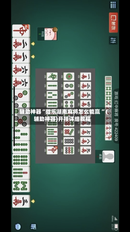 辅助神器“微乐湖南麻将怎么能赢 ”(辅助神器)开挂详细教程-第2张图片