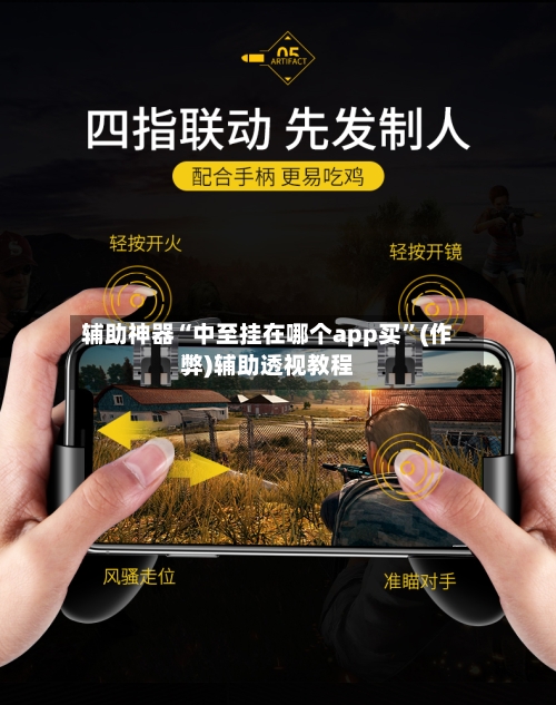 辅助神器“中至挂在哪个app买”(作弊)辅助透视教程-第3张图片