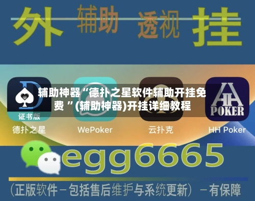 辅助神器“德扑之星软件辅助开挂免费 ”(辅助神器)开挂详细教程