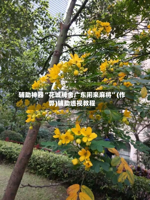 辅助神器“花城牌舍广东闲来麻将”(作弊)辅助透视教程