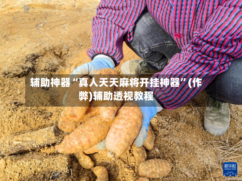 辅助神器“真人天天麻将开挂神器”(作弊)辅助透视教程-第2张图片