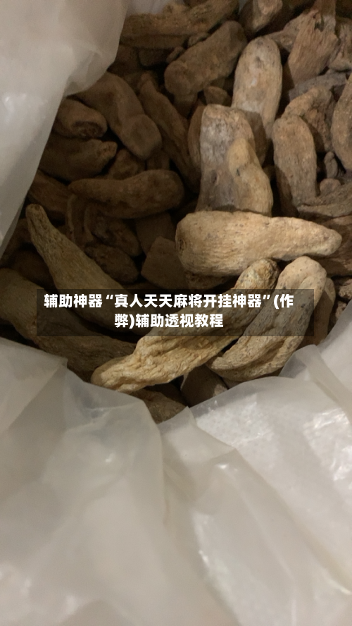 辅助神器“真人天天麻将开挂神器”(作弊)辅助透视教程