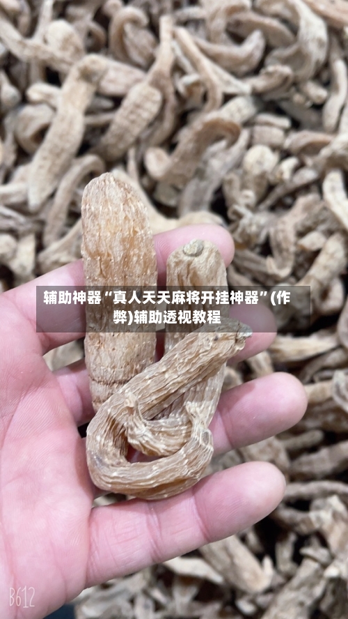 辅助神器“真人天天麻将开挂神器”(作弊)辅助透视教程-第3张图片