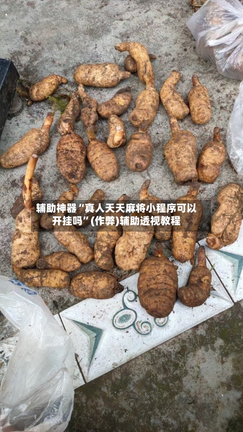 辅助神器“真人天天麻将小程序可以开挂吗	”(作弊)辅助透视教程-第3张图片