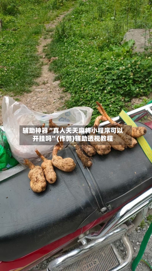 辅助神器“真人天天麻将小程序可以开挂吗”(作弊)辅助透视教程-第2张图片
