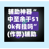 辅助神器“中至余干510k有挂吗”(作弊)辅助透视教程-第2张图片