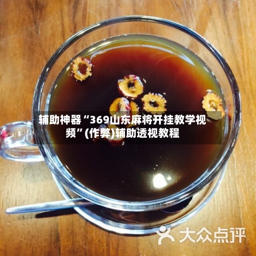 辅助神器“369山东麻将开挂教学视频”(作弊)辅助透视教程-第2张图片