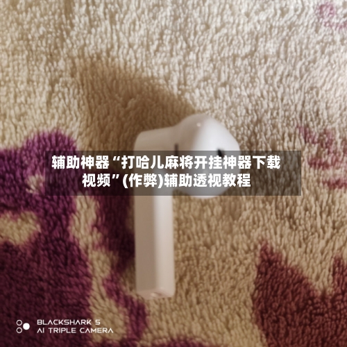 辅助神器“打哈儿麻将开挂神器下载视频”(作弊)辅助透视教程-第2张图片
