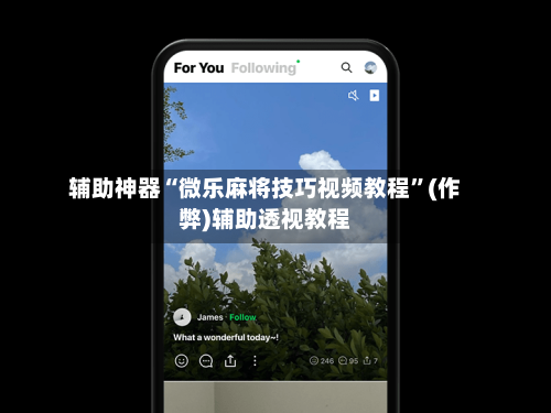 辅助神器“微乐麻将技巧视频教程”(作弊)辅助透视教程-第3张图片
