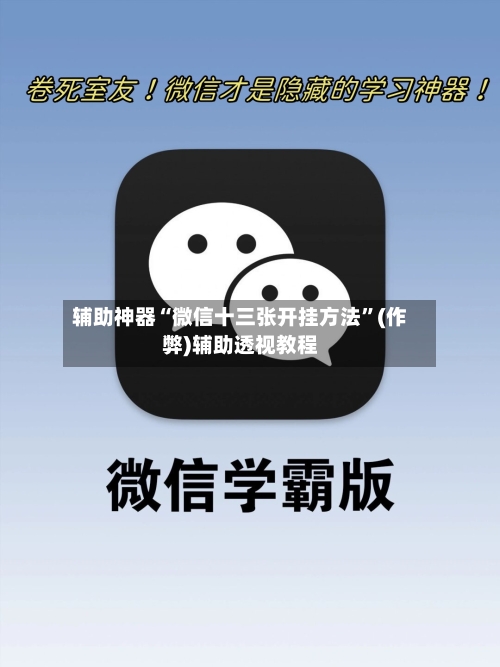辅助神器“微信十三张开挂方法”(作弊)辅助透视教程-第2张图片