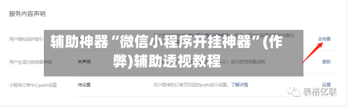 辅助神器“微信小程序开挂神器”(作弊)辅助透视教程-第2张图片