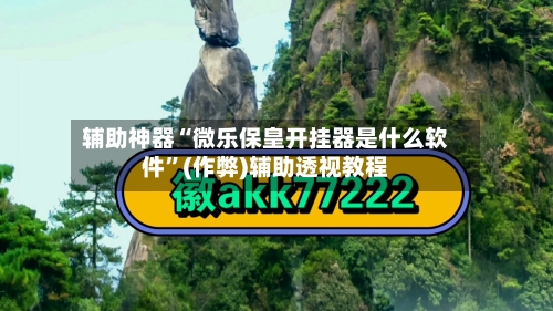 辅助神器“微乐保皇开挂器是什么软件”(作弊)辅助透视教程-第2张图片
