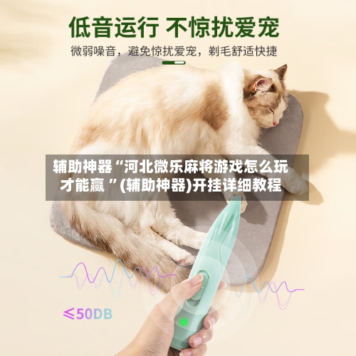 辅助神器“河北微乐麻将游戏怎么玩才能赢 	”(辅助神器)开挂详细教程-第2张图片