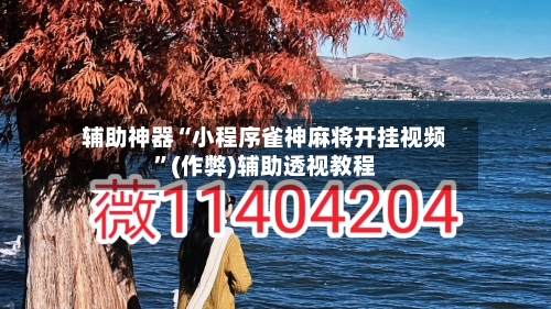 辅助神器“小程序雀神麻将开挂视频”(作弊)辅助透视教程-第2张图片