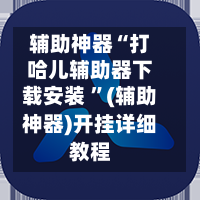 辅助神器“打哈儿辅助器下载安装 ”(辅助神器)开挂详细教程-第2张图片