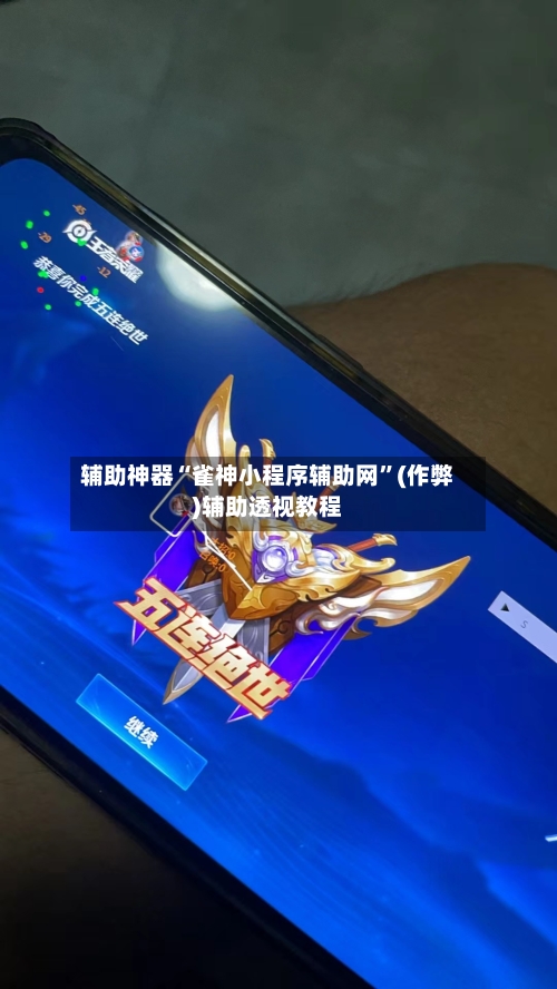 辅助神器“雀神小程序辅助网”(作弊)辅助透视教程-第2张图片