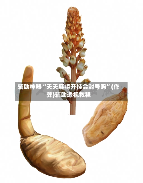 辅助神器“天天麻将开挂会封号吗”(作弊)辅助透视教程-第2张图片