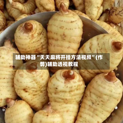辅助神器“天天麻将开挂方法视频”(作弊)辅助透视教程