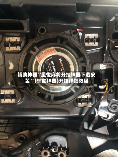 辅助神器“星悦麻将开挂神器下载安装 ”(辅助神器)开挂详细教程