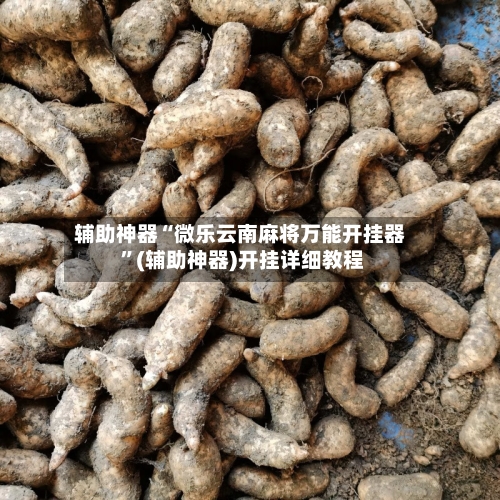 辅助神器“微乐云南麻将万能开挂器 ”(辅助神器)开挂详细教程