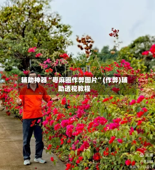 辅助神器“粤麻圈作弊图片”(作弊)辅助透视教程-第2张图片