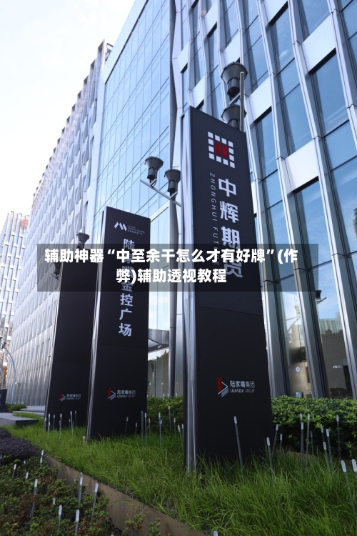 辅助神器“中至余干怎么才有好牌”(作弊)辅助透视教程-第2张图片