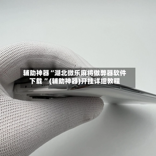 辅助神器“湖北微乐麻将做弊器软件下载 ”(辅助神器)开挂详细教程-第2张图片