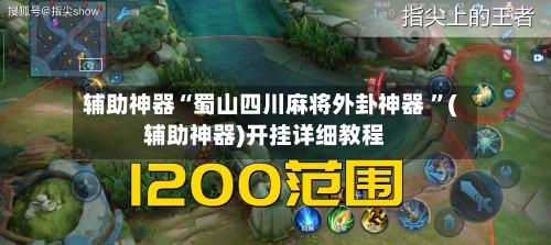 辅助神器“蜀山四川麻将外卦神器 	”(辅助神器)开挂详细教程-第3张图片