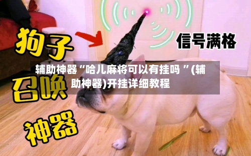 辅助神器“哈儿麻将可以有挂吗 ”(辅助神器)开挂详细教程-第2张图片